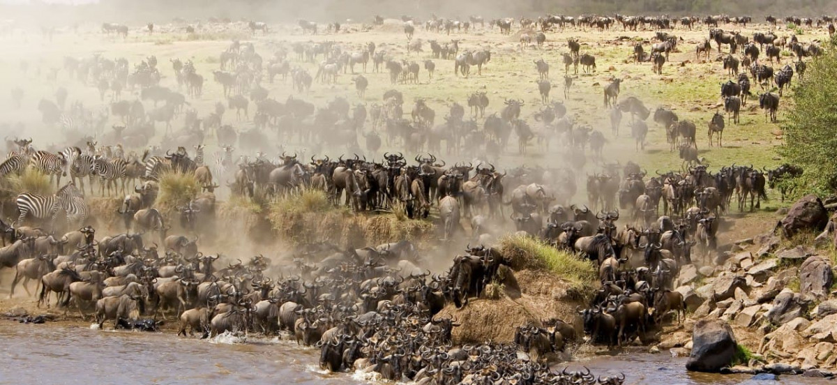 Inbound Travel Insurance